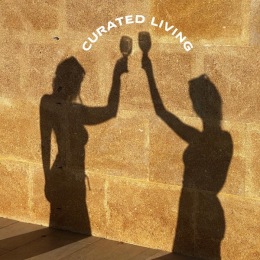 a shadow of two women holding up drinks