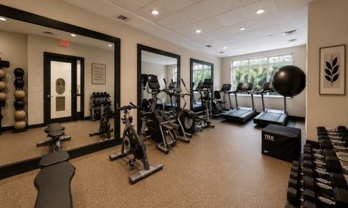 fitness center with open spaces and bright lighting through the windows