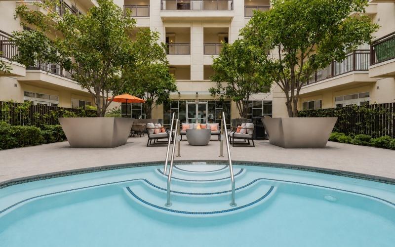 a pool with trees
